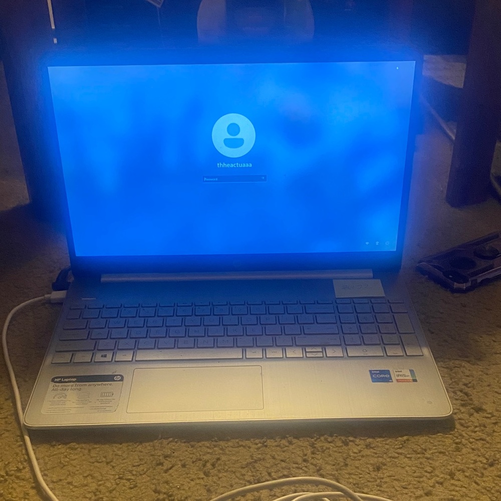 HP Silver Laptop with Blue Screen